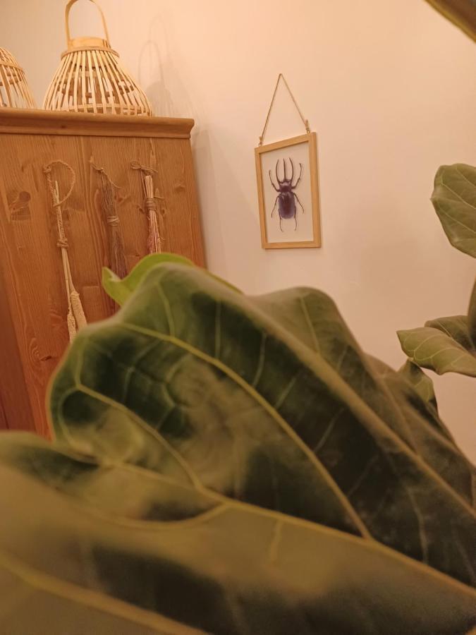 דירות האג 75M2 Indoor Glamping Scheveningen מראה חיצוני תמונה